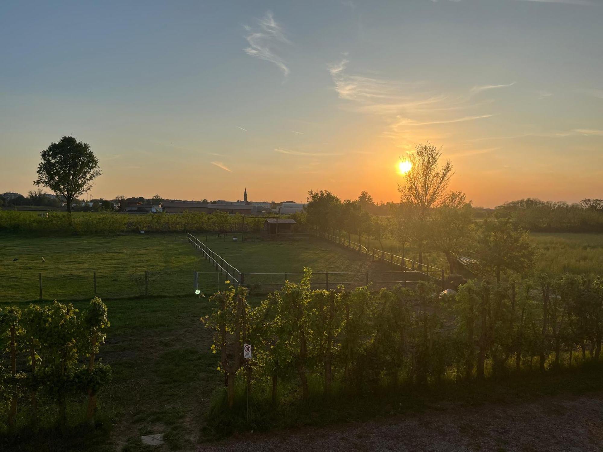 Agriturismo Al Botteniga Treviso Exterior foto